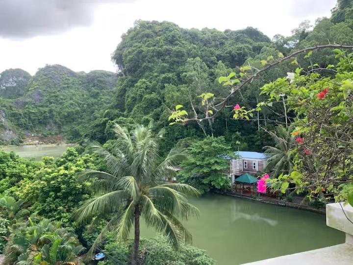 Catba Backpackers Hostel & Pool Bar Chan Chau Стая снимка